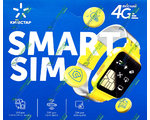    SMART SIM ( )